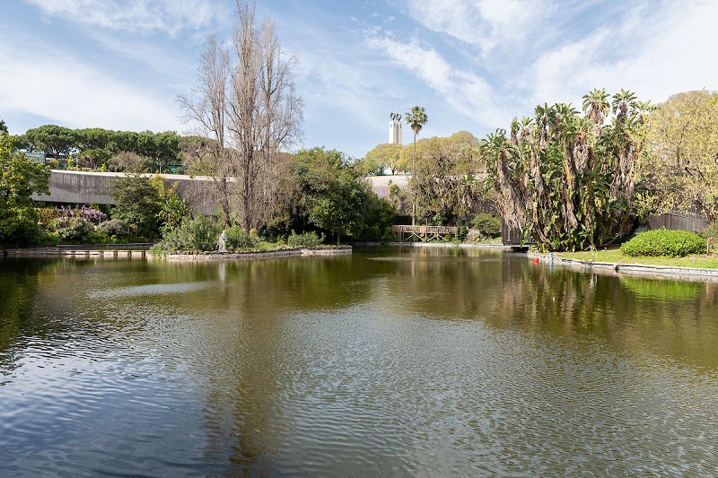 Exterior lake at Estufa Fria Lisbon